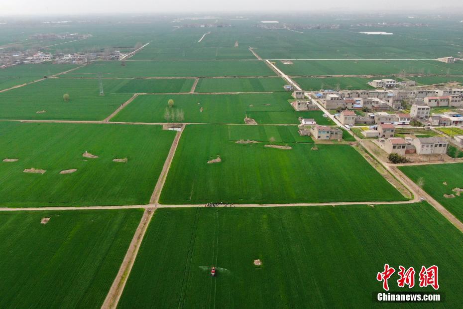 E China's Anhui province uses satellite technology to facilitate loans for farmers during the spring farming season