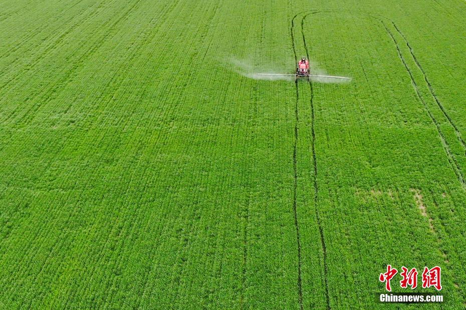 E China's Anhui province uses satellite technology to facilitate loans for farmers during the spring farming season