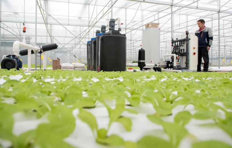 Unmanned farm projects boost development of smart agriculture in China