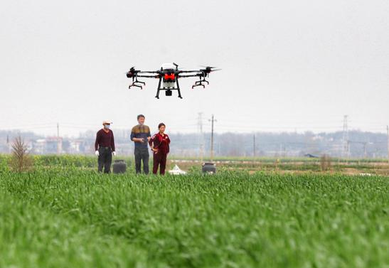 Unmanned farm projects boost development of smart agriculture in China