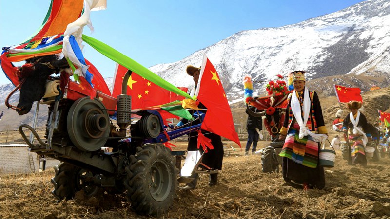 Traditional spring ploughing ceremony held in Lhasa, China’s Tibet