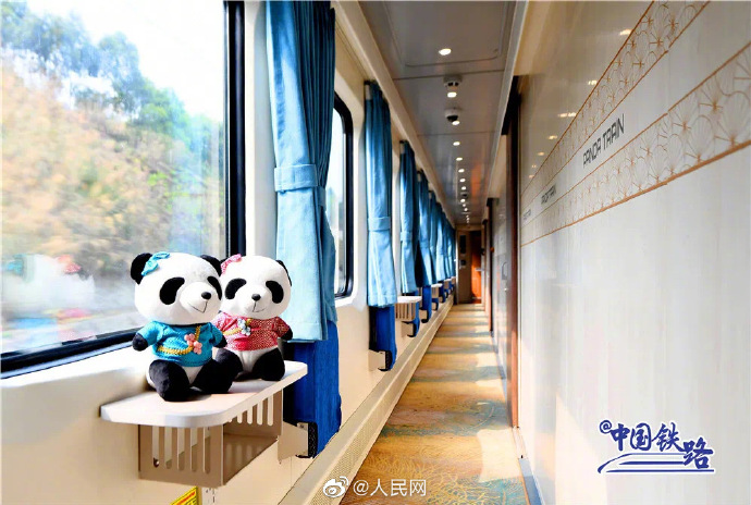 Panda-themed train begins operation in SW China