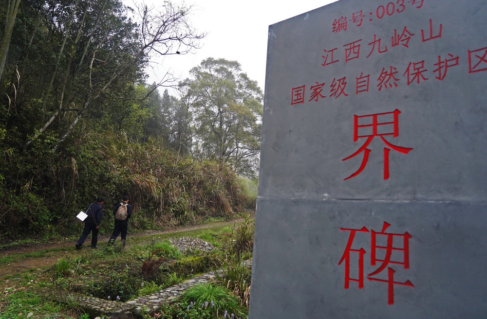 Young rangers devoted to protecting forests in east China's Jiangxi