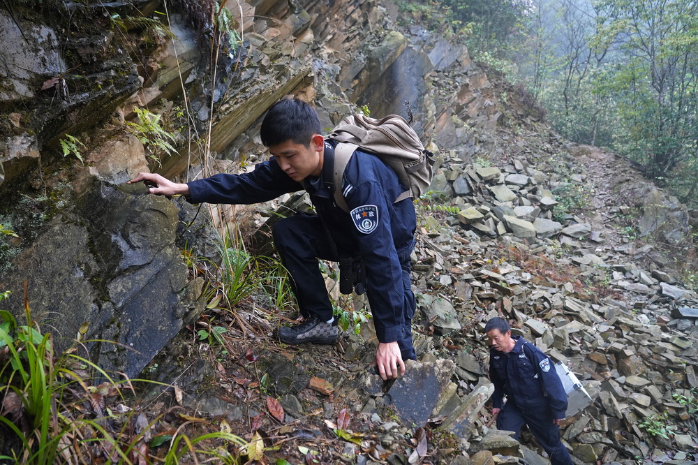 Young rangers devoted to protecting forests in east China's Jiangxi