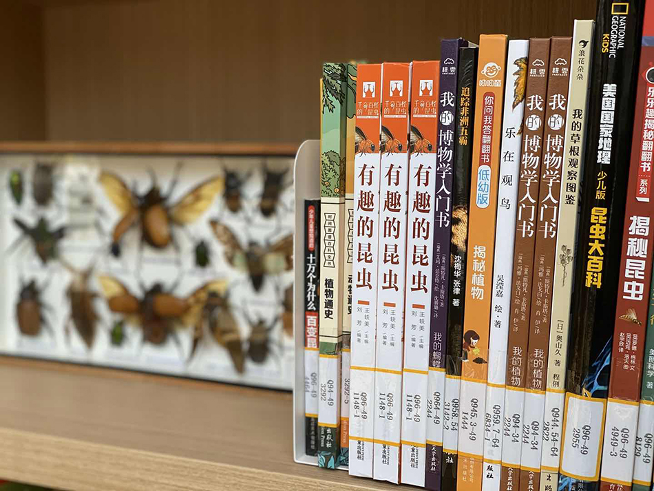 Shanghai opens first public library inside a park