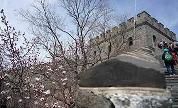 Spring scenery of Mutianyu Great Wall in Beijing