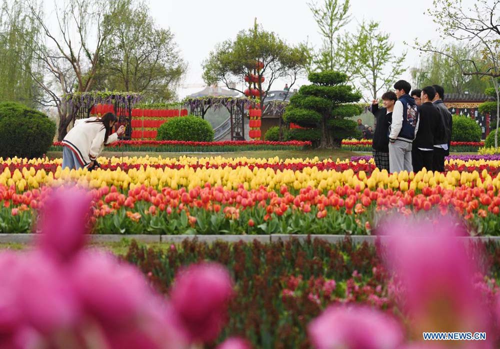 People enjoy Qingming Festival holiday in China
