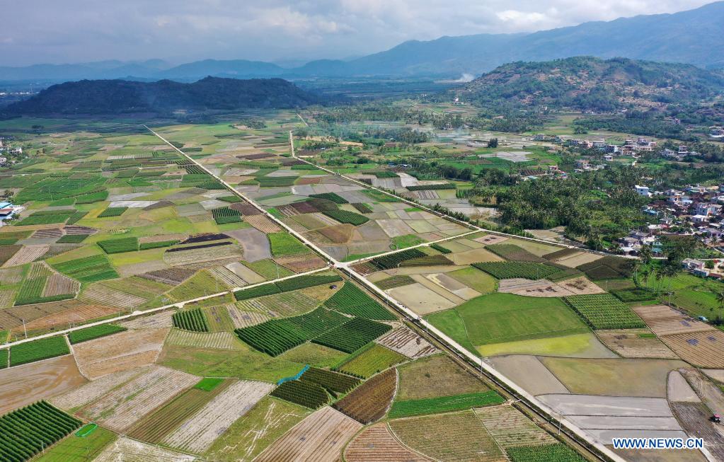 In pics: agricultural base in Hainan, S China