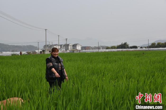 Digital technologies empower rural rejuvenation in Zhejiang