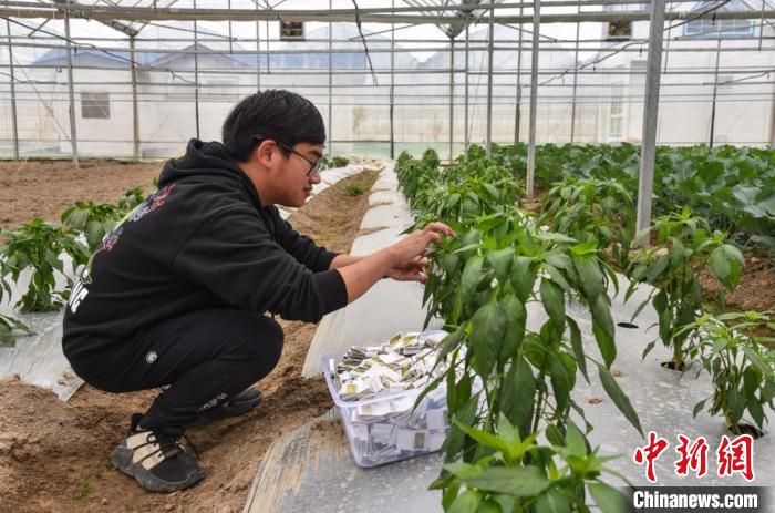 Digital technologies empower rural rejuvenation in Zhejiang