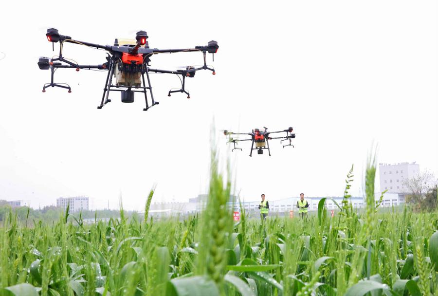 Information technology gives a leg up to China's spring farming