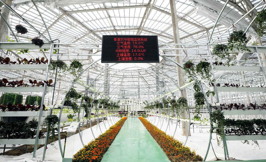 Information technology gives a leg up to China's spring farming