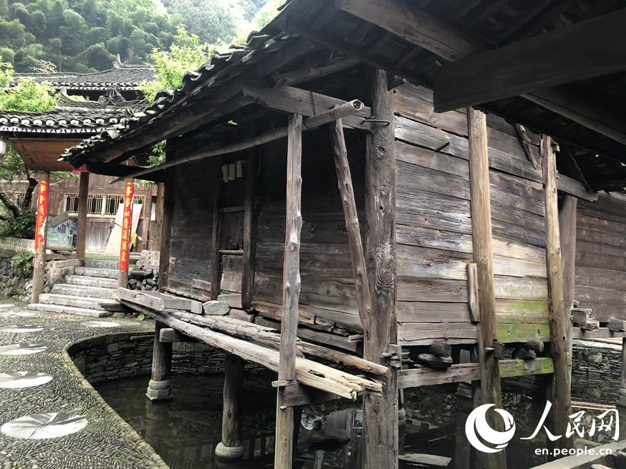 Barns built above water keep grain safe in Miao village