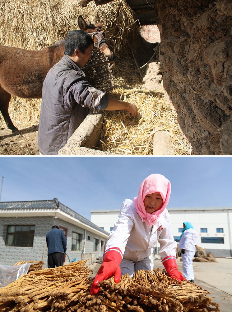 Past and present: Villagers in NW China’s Gansu province bid farewell to poverty, embrace new lives