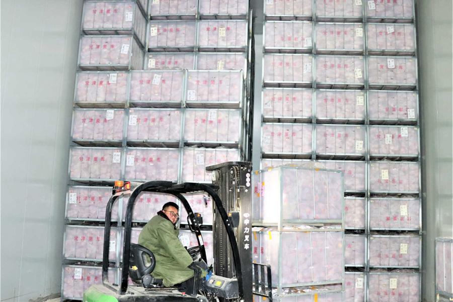 Better cold chain logistics facilities bring benefits to consumers and sellers of fresh food in China
