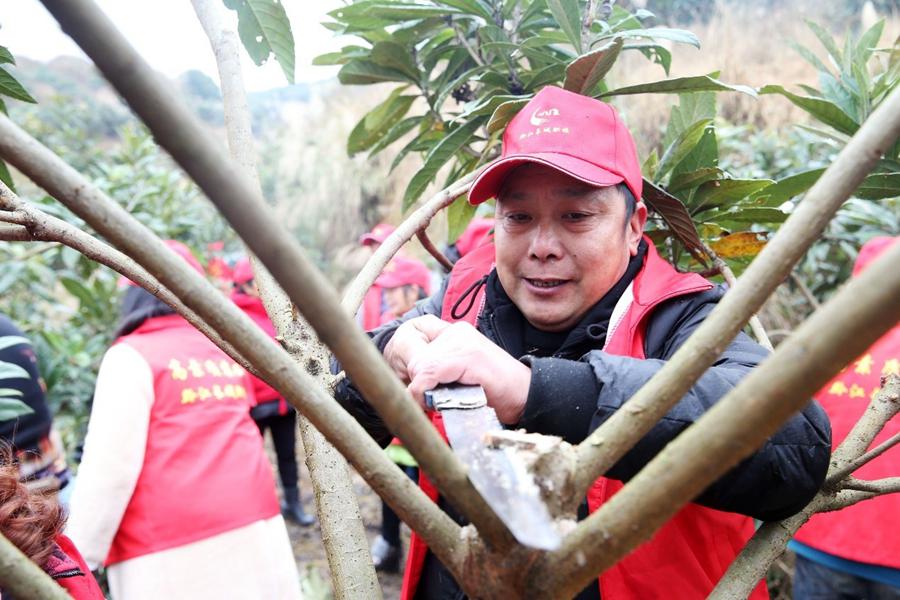 Technologies arm professional farmers in China