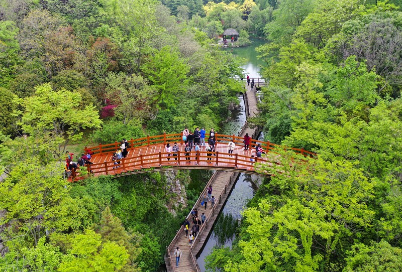 China reinforces confidence for global environmental governance