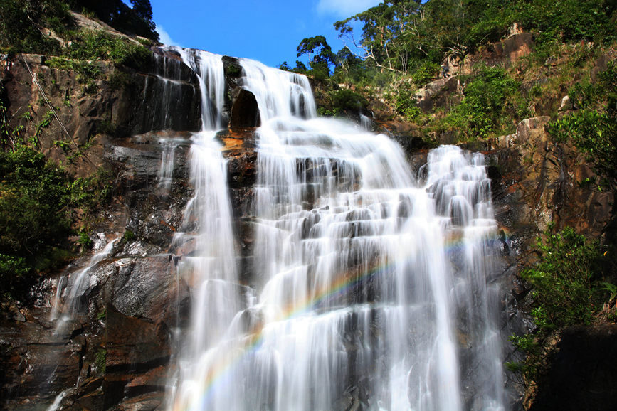 Pics: Mesmerizing tropical rainforest in Hainan