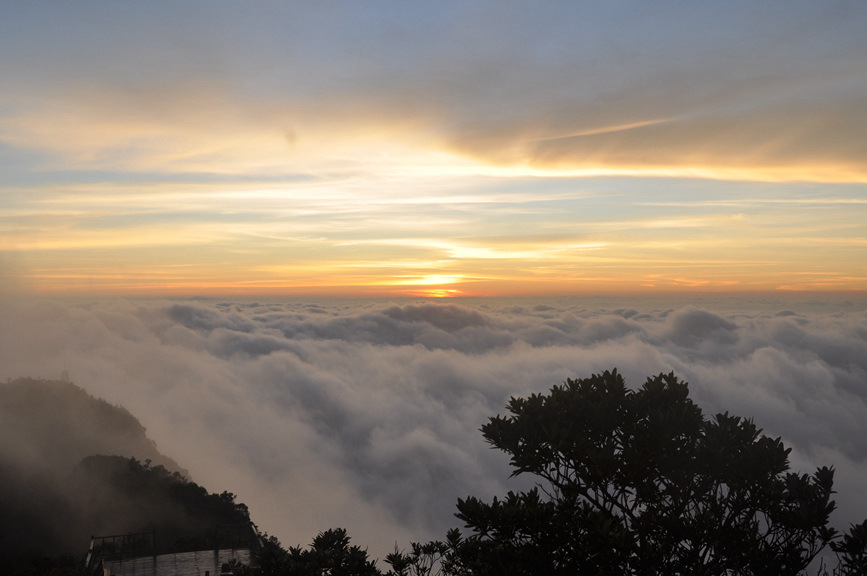 Pics: Mesmerizing tropical rainforest in Hainan