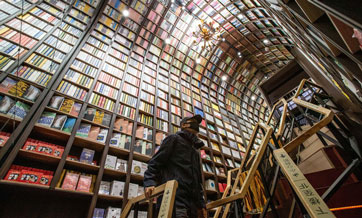 China strengthens copyright protections for online literature