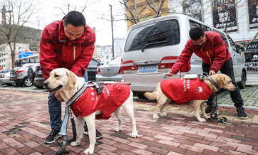 Guide dog training center in Dalian, NE China