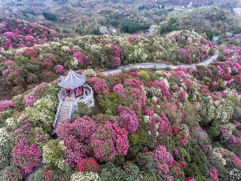 Small village in SW China's Guizhou connected to outside world and bright future by 4G network