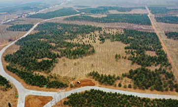 The green ambition of Xiong'an New Area builders