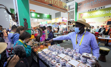 Multi-billion-USD investments inked at Silk Road int'l expo