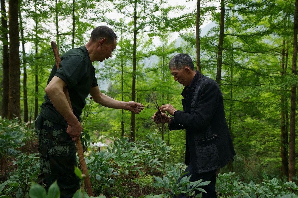 Blended family embraces new life through hard work