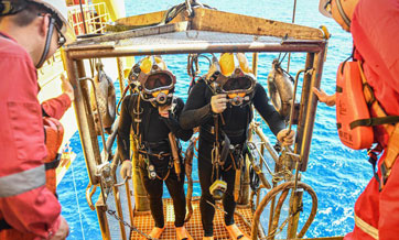 "Deep Sea No.1" energy station at gas field off S China's Hainan