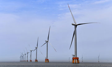 East China offshore wind farm connects to grid