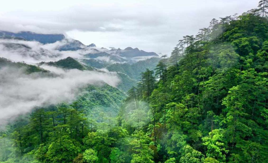Scenery of Wuyishan National Park in Fujian