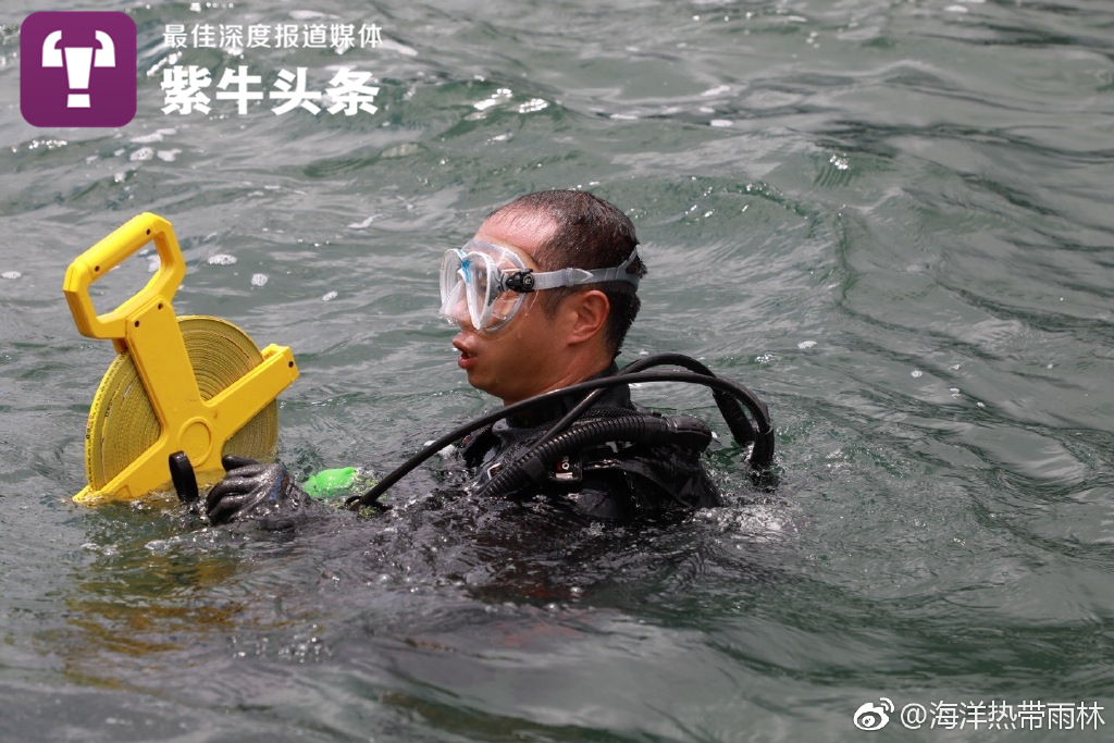 Young Chinese researcher “plants” corals on seabed