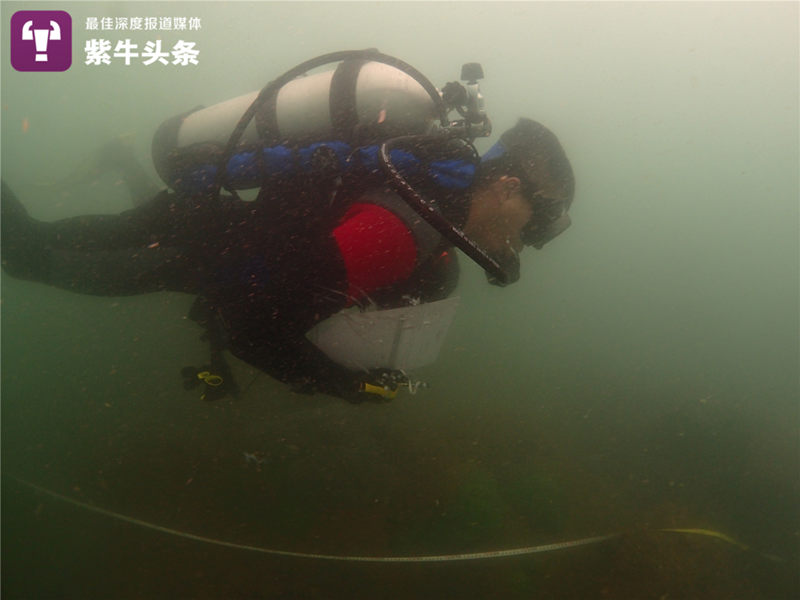 Young Chinese researcher “plants” corals on seabed