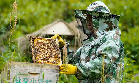 World Bee Day Celebration held in Chongqing