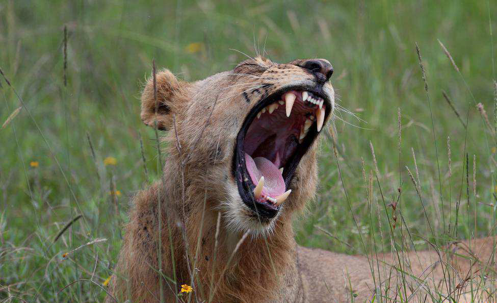 Int'l Day for Biological Diversity falls on May 22