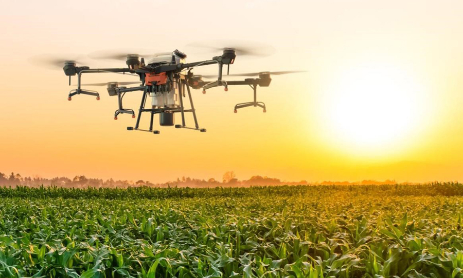 Chinese commercial drones favored by South African farmers