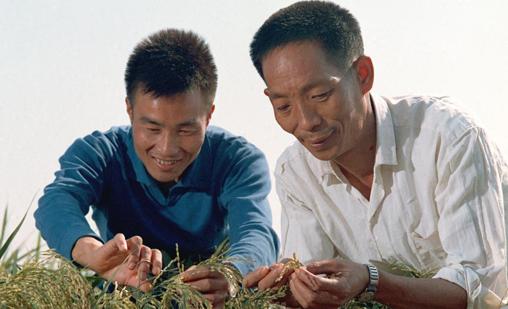 UN praises Yuan Longping as true food hero