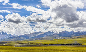 Tibet witnesses historic changes over past seven decades