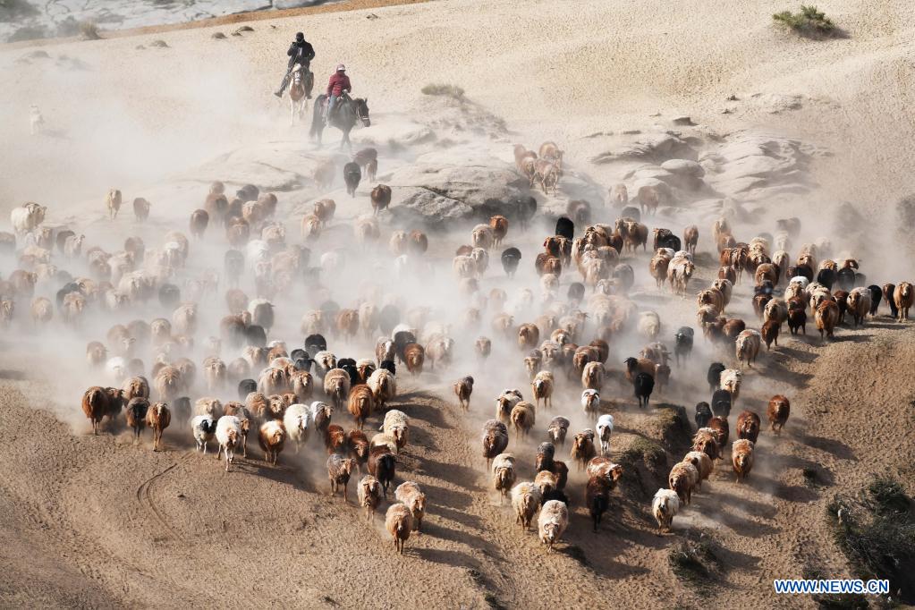 Ethnic Kazakh herdsmen move livestock to summer pastures in China's Xinjiang