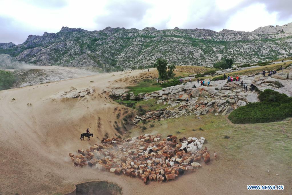 Ethnic Kazakh herdsmen move livestock to summer pastures in China's Xinjiang