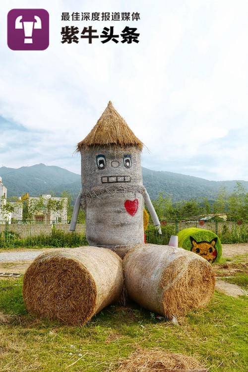 Chinese straw sculpture team earns up to 40 million yuan a year