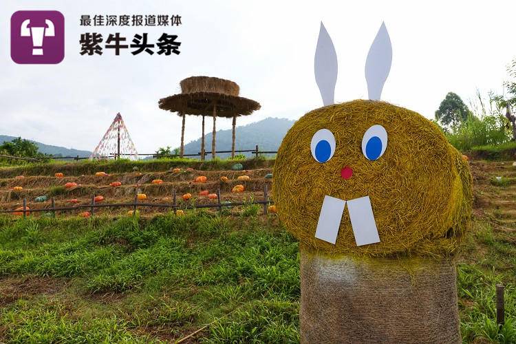 Chinese straw sculpture team earns up to 40 million yuan a year
