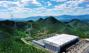 China contributes to building cleaner, more beautiful world by pursuing green development