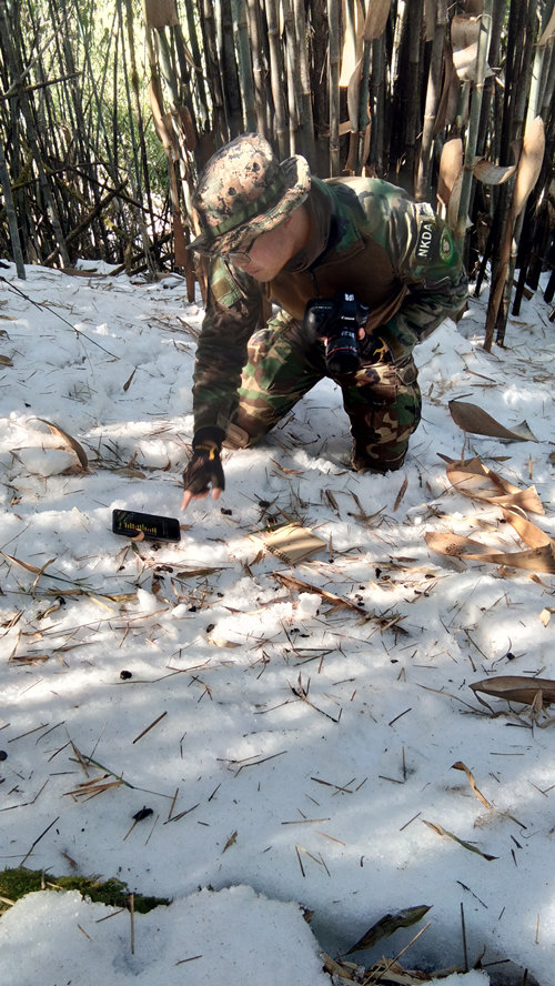 PhD student devotes eight years to protecting critically endangered snub-nosed monkeys