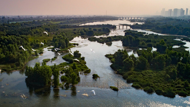 China's Luoyang adorned with green oases