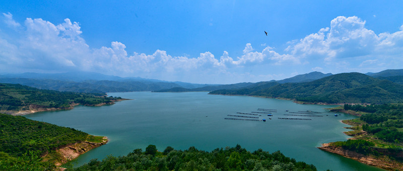 China's Luoyang adorned with green oases