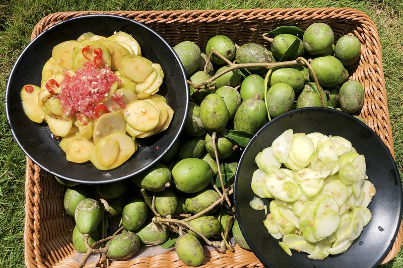 A peek into tropical fruit tree planting base in Hainan, south China