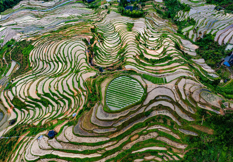 Terraced field in central China's Hunan boosts tourism, agriculture