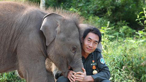 Caregivers devote themselves to conservation of wild Asian elephants in SW China’s Yunnan